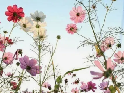 Аффирмации Для Повторения