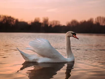 Аффирмации - Настрой Молодости Для Женщин