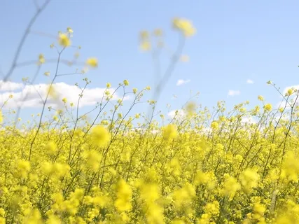 Аффирмации Утренняя Настройка И Осознание Своего Предназначения