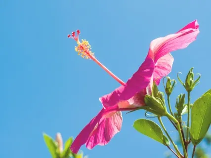 Affirming Our Natural Birthright