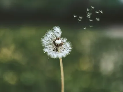 Affirmations For Compassionate Self-Care