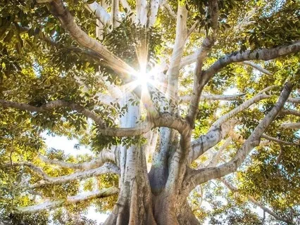 Affirming Your Abundance