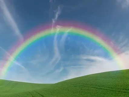 Affrimations ~Healing From The Loss Of A Pet