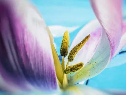 Afirmacje na pokochanie siebie