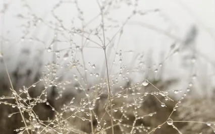 Афірмації здорової реальності