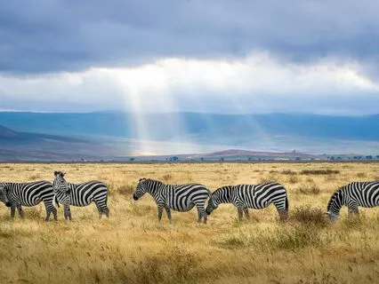 African Dreams (Piano&voice)