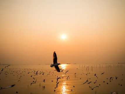 After And All With Anakhata