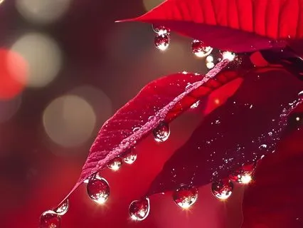 After Party Energy Tune-Up