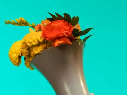 After The Protest: Breathe & Reconnect With Your Purpose