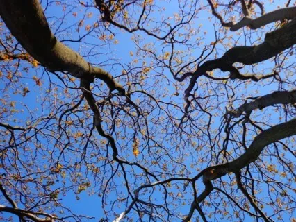 After Work Wind Down - Mindfulness And Relaxation