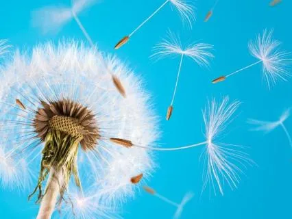 After You Let Go Of Your Armor