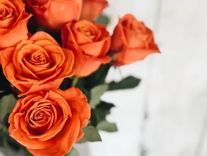 Afternoon Acceptance : A Short Meditation