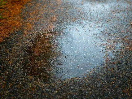 Afternoon Autumn Rain Reverie Shower - Music Meditation