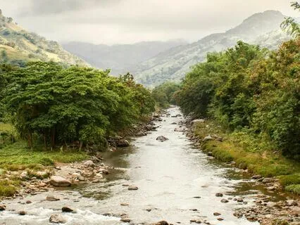 Afternoon By The Creek