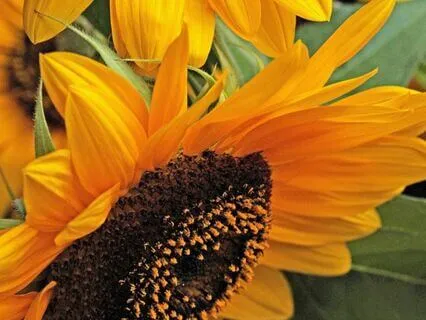 Afternoon Energy Boost : Time-Friendly Affirmations