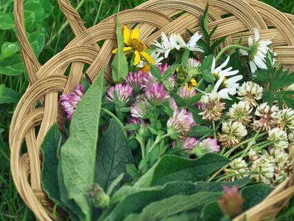 Afternoon Foraging By The River Soundscape