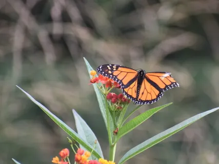 Afternoon Relaxation