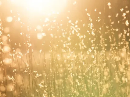 Afternoon Recharge: Engaging With Your Deepest Self