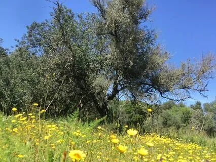 Afternoon Tea To Make Friends With Our Demons