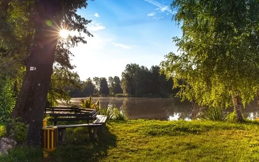 Afternoon's Daydream