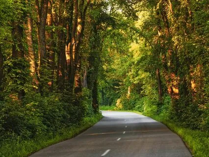 Agartha, Mystical Hang Drum Journey Instrumental