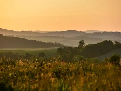 Aging Wisely: Accomplishments