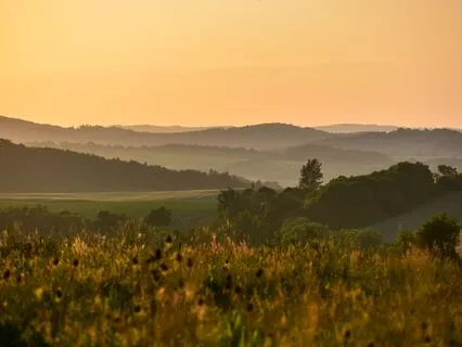 Aging Wisely: Self-Improvement