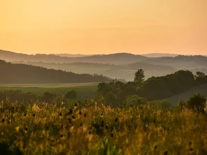 Aging Wisely: Transitions