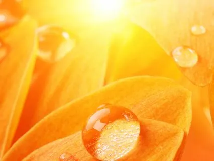 Aging With Vitality Affirmations For Women