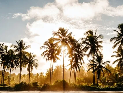 Agua de Florida - Monochord Jam