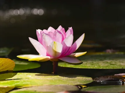 Aham Brahmasmi 108 Times