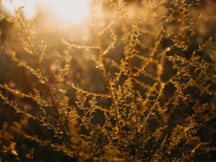 Aham Brahmasmi Mantra Meditation