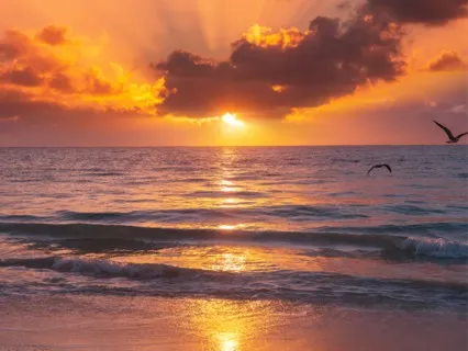 Aham / I Am - Rediscover Your Soul Essence