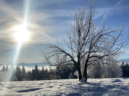 Ahimsa (Non-Violence), Patanjali's Yamas And Niyamas