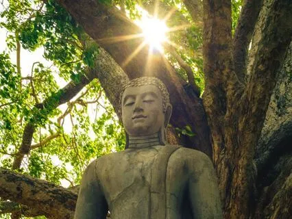 Ahimsa Within: A Guided Yoga Nidra For Peaceful Presence