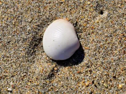 AI Cannot Live Your Life