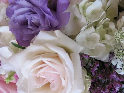 愛と思いやり（慈愛）を私たちへ向ける瞑想 (Loving-Kindness For Ourselves)