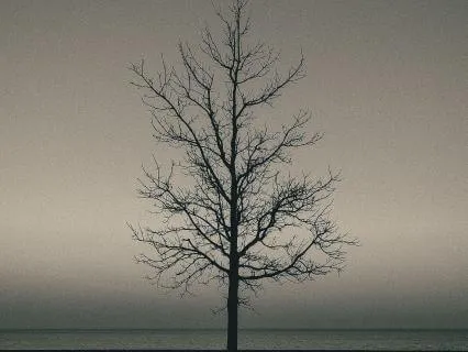 Air & Ash (12 Hour Deep Sleep Mix)