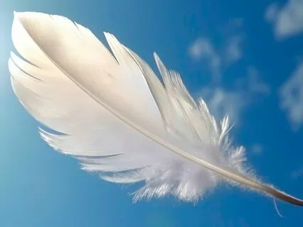 Air Element Meditation To Free The Mind