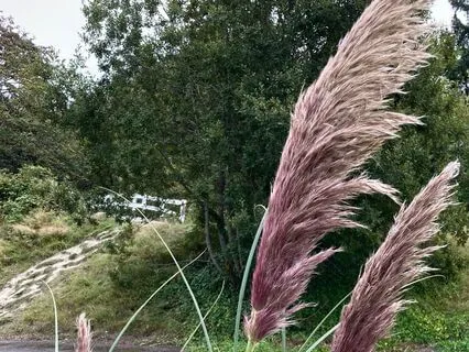 Air Element: Riding The Wind