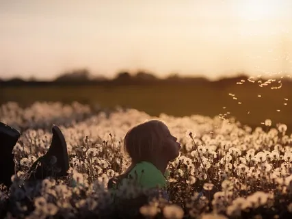 Gentle Wind Element Meditation