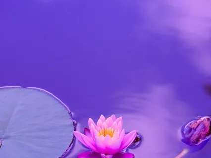 Ajna Chakra: Brain Healing