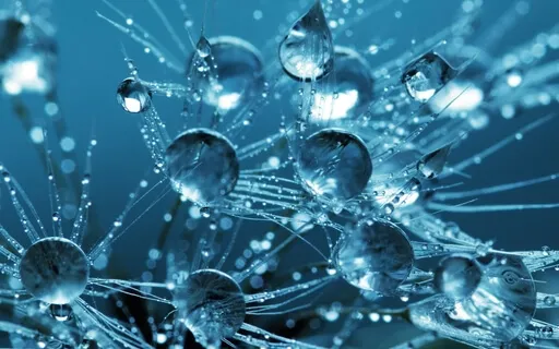 Akashic Alignmnent Mini Session - Throat Chakra