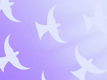 Akashic Clearing  Meditation