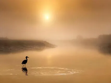 Akashic Reiki Golden Sun Mediation