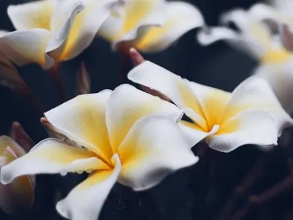 Al Fattah -The Opener - Islamic Meditation