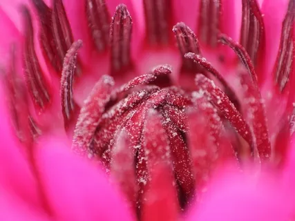 Al Ghafoor - Forgive Yourself So You May Forgive Others