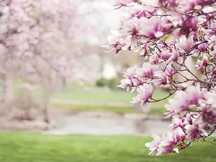 At Tawwab - Healing Meditation - Breaking The habit 