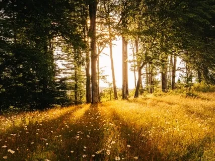 Al Noor: The Light - Islamic Meditation