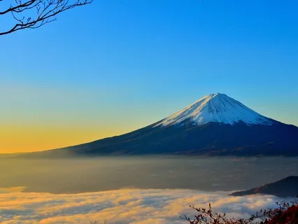 Alchemising Fear Into Courage And Love